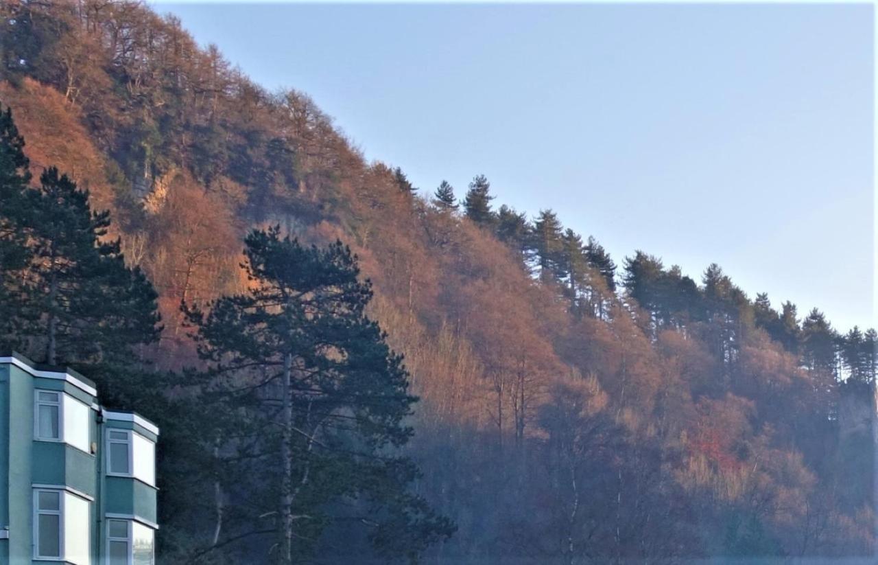 Bed and Breakfast Wye Rapids House Symonds Yat Exterior foto